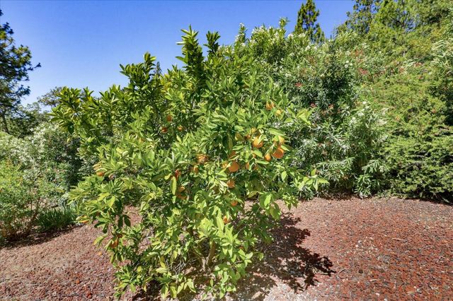 16104 Fairway Glen Pl, Grass Valley, CA 95949