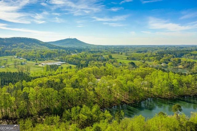 3915 Copper Leaf Lane, Cumming, GA 30040