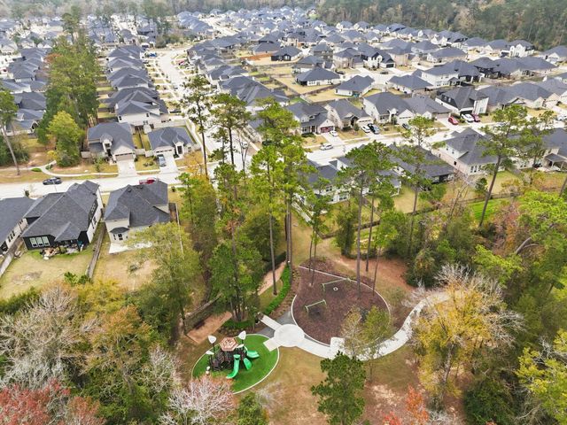 15439 Park Perch Place, Magnolia, TX 77354