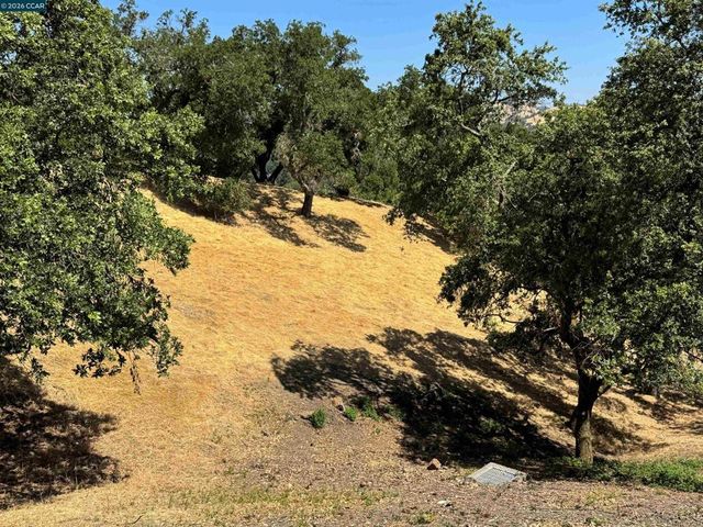 18 Diablo Oaks Way, Lafayette, CA 94549