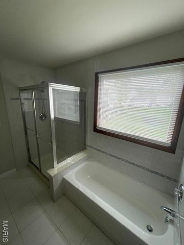 327 Wildberry Lane, Unincorporated, MO 63304