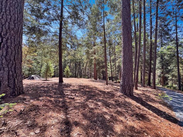 6152 Hillcrest Ct, Foresthill, CA 95631