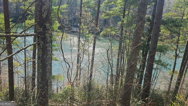 91 Dragway Lane, Lakemont, GA 30552
