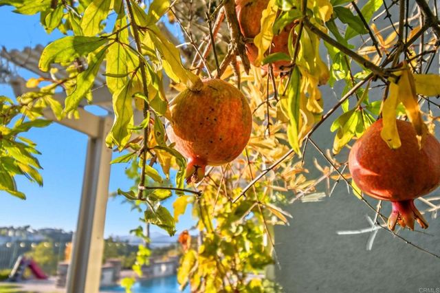 13303 Greenstone Court, San Diego, CA 92131