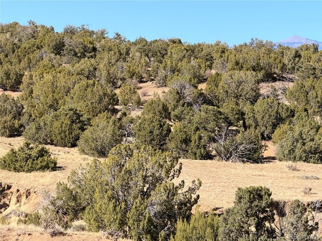 Lot 537 RIO CUCHARAS, Walsenburg, CO 81089