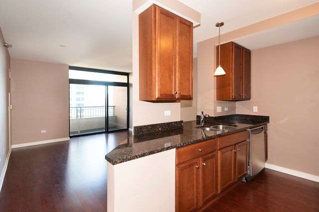1160 S Michigan Avenue 2506, Chicago, IL 60605