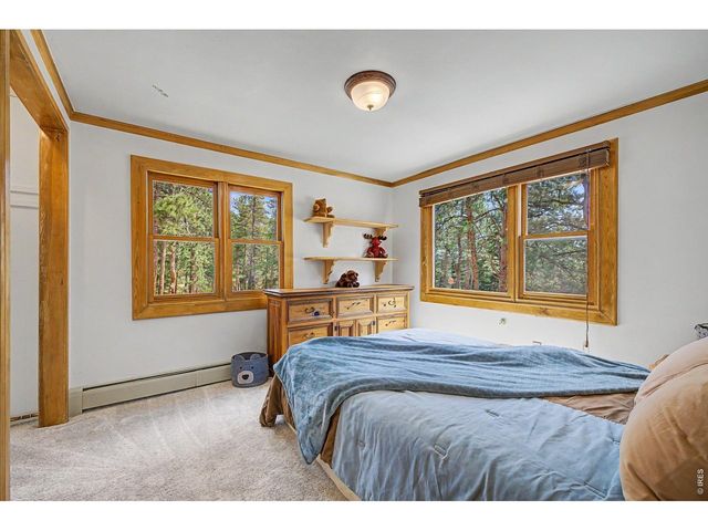 2028 Lazy Z Rd, Nederland, CO 80466
