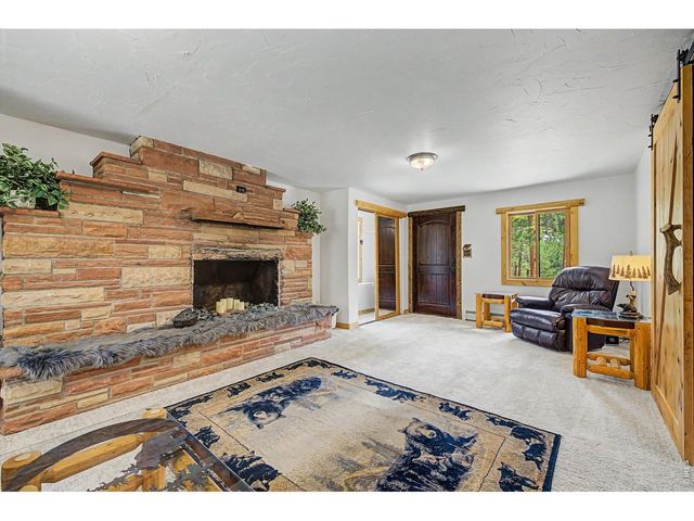 2028 Lazy Z Rd, Nederland, CO 80466