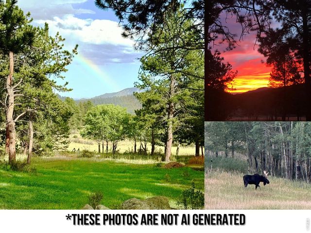 2028 Lazy Z Rd, Nederland, CO 80466