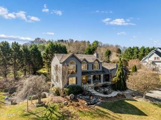 217 Lake Meadow Drive, Gray, TN 37615