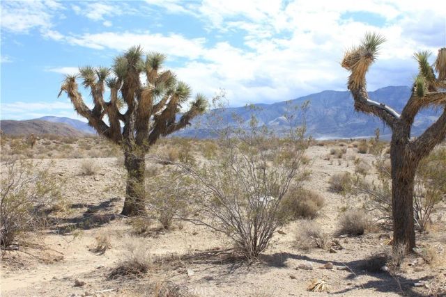 769 Meridian, Lucerne Valley, CA 92356