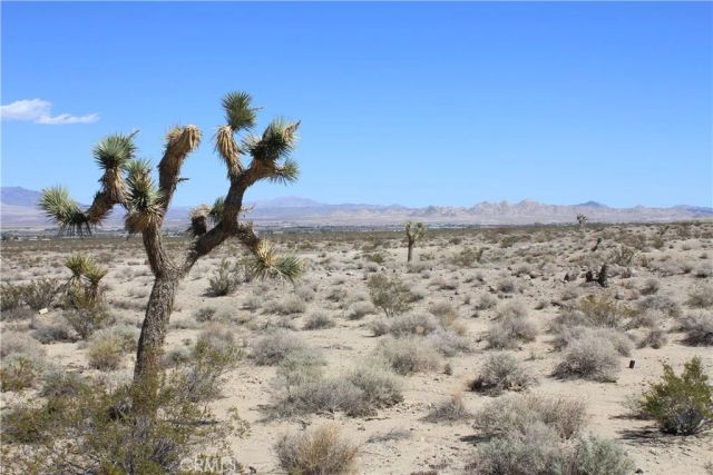769 Meridian, Lucerne Valley, CA 92356