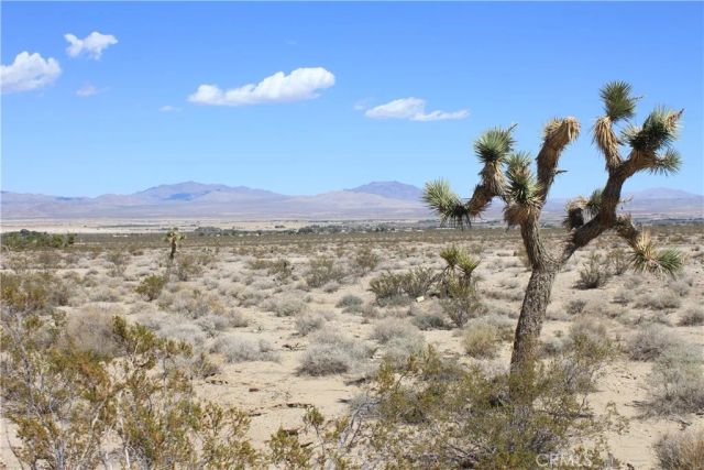 769 Meridian, Lucerne Valley, CA 92356