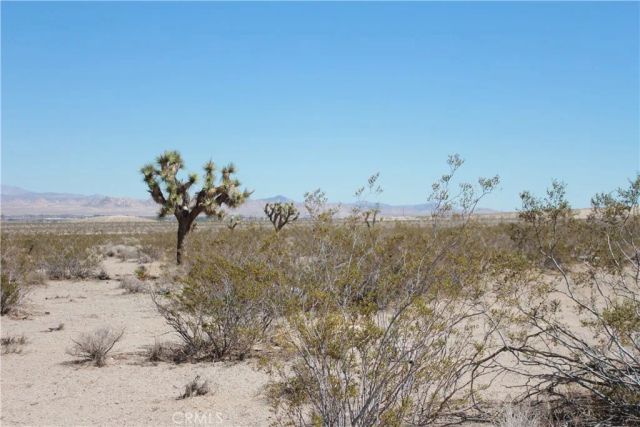 769 Meridian, Lucerne Valley, CA 92356