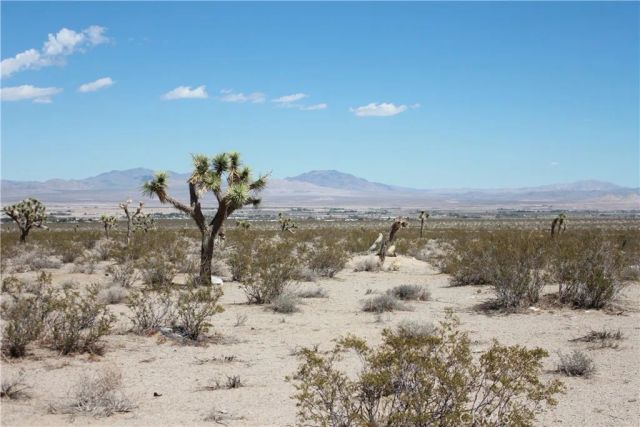 769 Meridian, Lucerne Valley, CA 92356