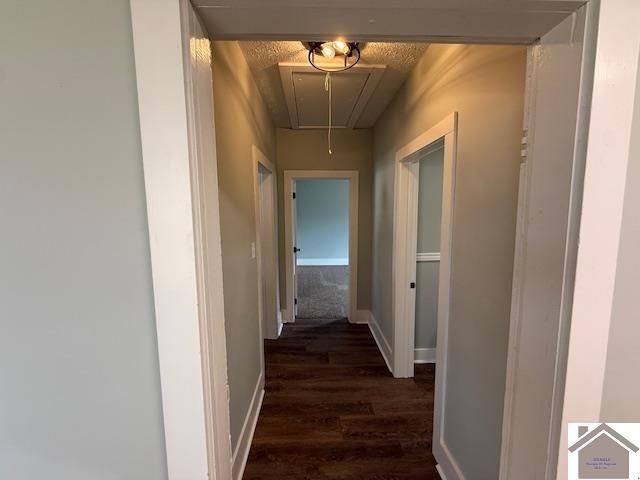 1905 B Street L10 B8, Paducah, KY 42003