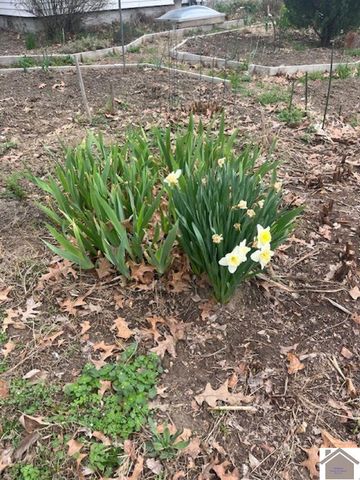 1905 B Street L10 B8, Paducah, KY 42003