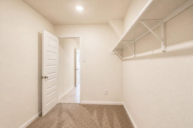 22554 Pinecone Forest Lane, Tomball, TX 77377