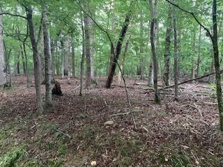 612 Fawn Court, Jasper, GA 30143