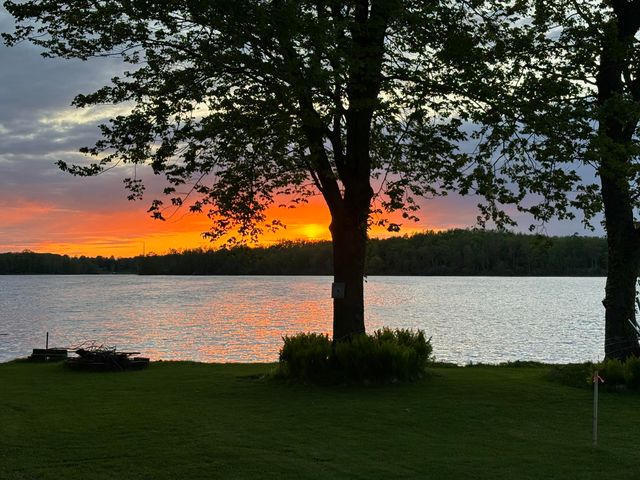3055 Baseline Road, Gobles, MI 49055