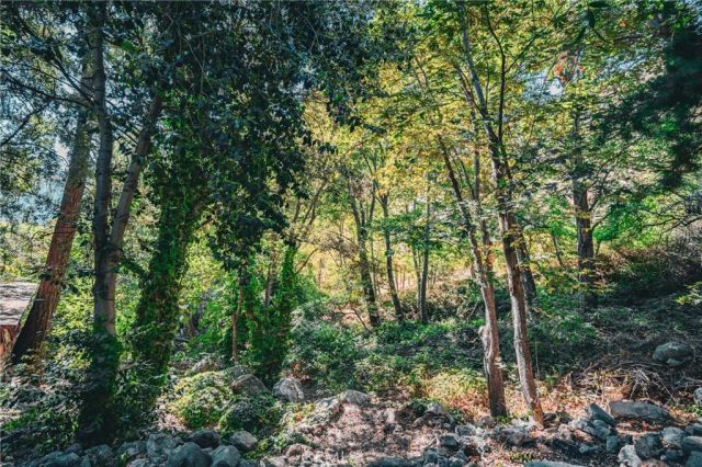 24 Barrett Canyon, Mt Baldy, CA 91759