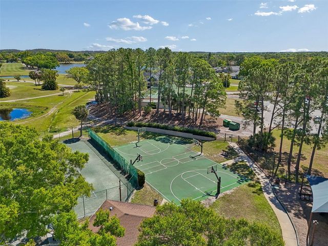 12507 ASHDOWN DRIVE, Odessa, FL 33556