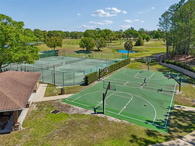 12507 ASHDOWN DRIVE, Odessa, FL 33556