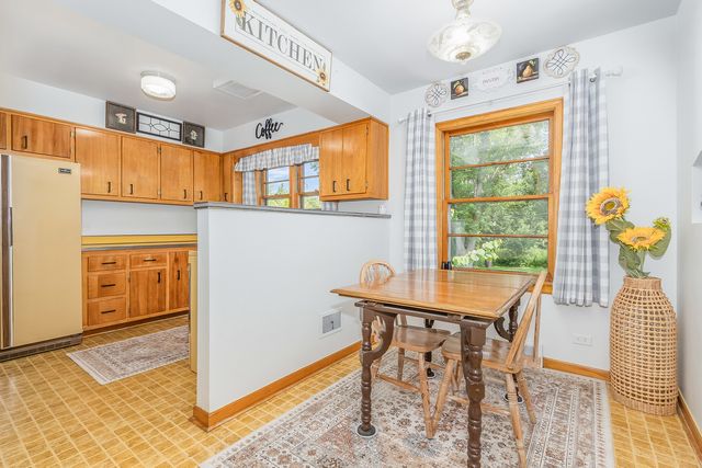 308 Sheldon Avenue, Downers Grove, IL 60515