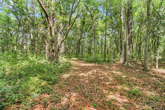 0 Spark Street, Mount Pleasant, SC 29464