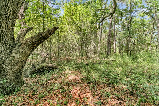 0 Spark Street, Mount Pleasant, SC 29464