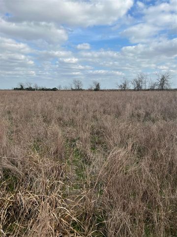 TBD lot 1 Beal RD, Eagle Lake, TX 77434