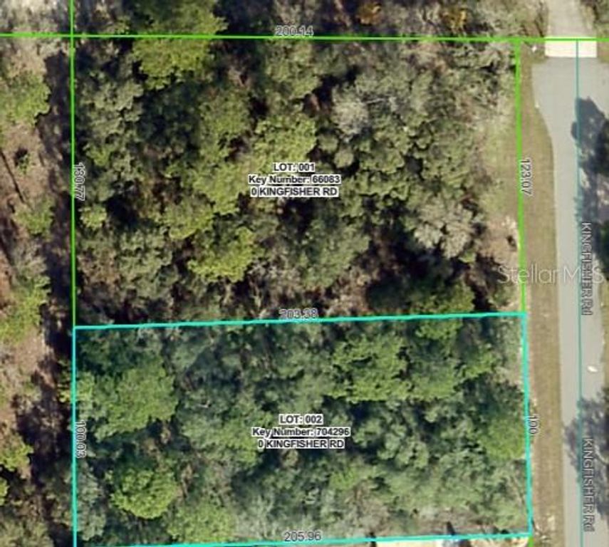 Lot 2 KINGFISHER ROAD, Weeki Wachee, FL 34614