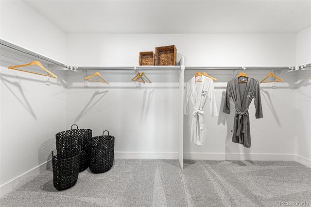 8754 Yellowcress Street, Littleton, CO 80125