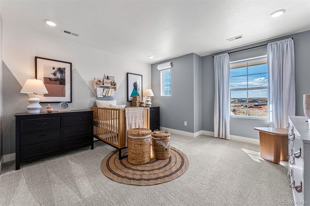 8754 Yellowcress Street, Littleton, CO 80125