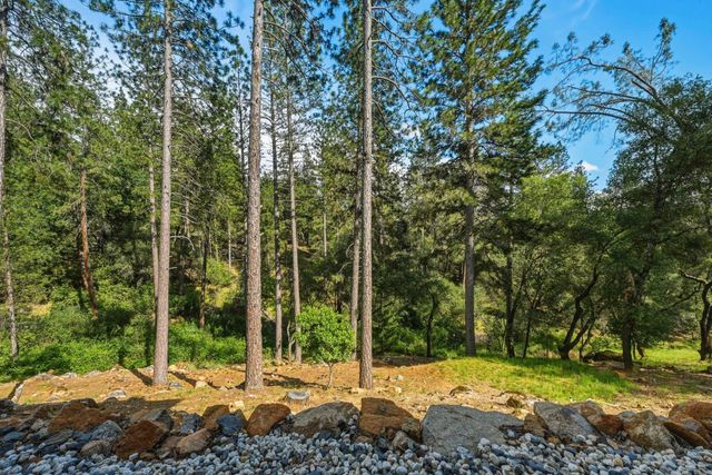 1455 Lodge View Dr, Meadow Vista, CA 95722