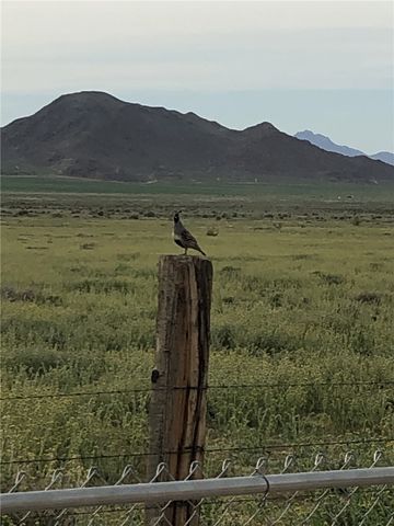 9597 N Tall Tree Drive, Kingman, AZ 86401