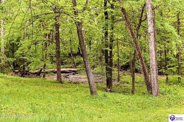 199 Lickskillet Drive, Shepherdsville, KY 40165