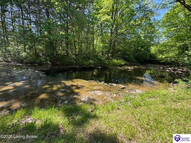 199 Lickskillet Drive, Shepherdsville, KY 40165
