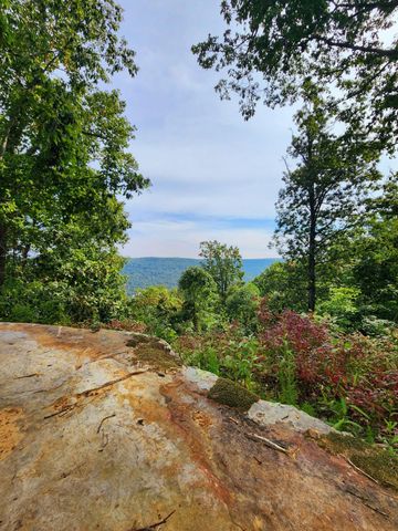 3155 Pigeon Spur Road, Tracy City, TN 37387