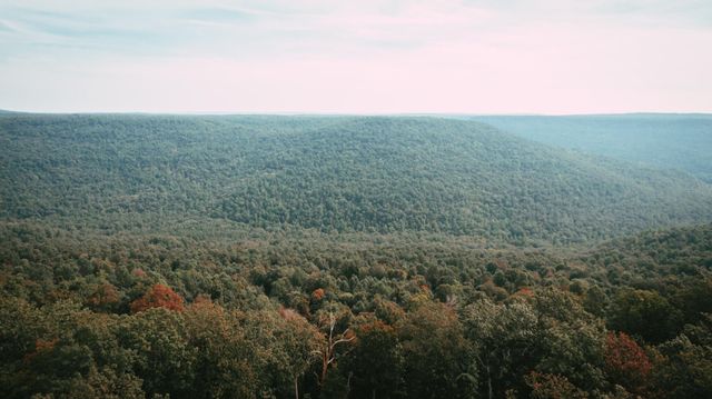 3155 Pigeon Spur Road, Tracy City, TN 37387