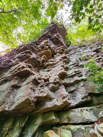 3155 Pigeon Spur Road, Tracy City, TN 37387