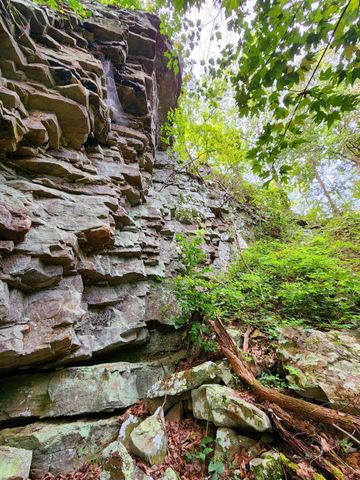 3155 Pigeon Spur Road, Tracy City, TN 37387