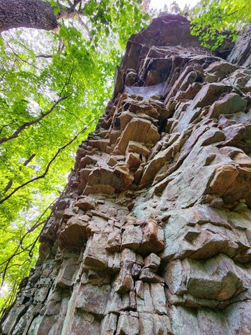 3155 Pigeon Spur Road, Tracy City, TN 37387