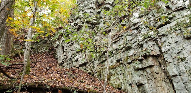 3155 Pigeon Spur Road, Tracy City, TN 37387