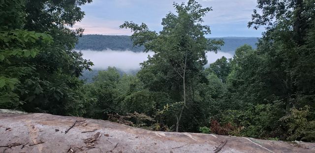 3155 Pigeon Spur Road, Tracy City, TN 37387