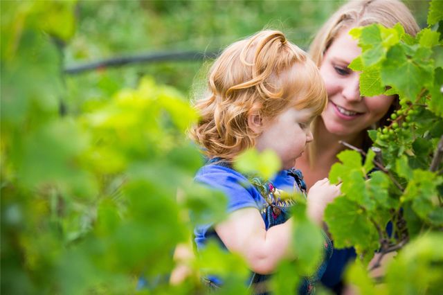 410 Apple Core Way, Richmond, TX 77406