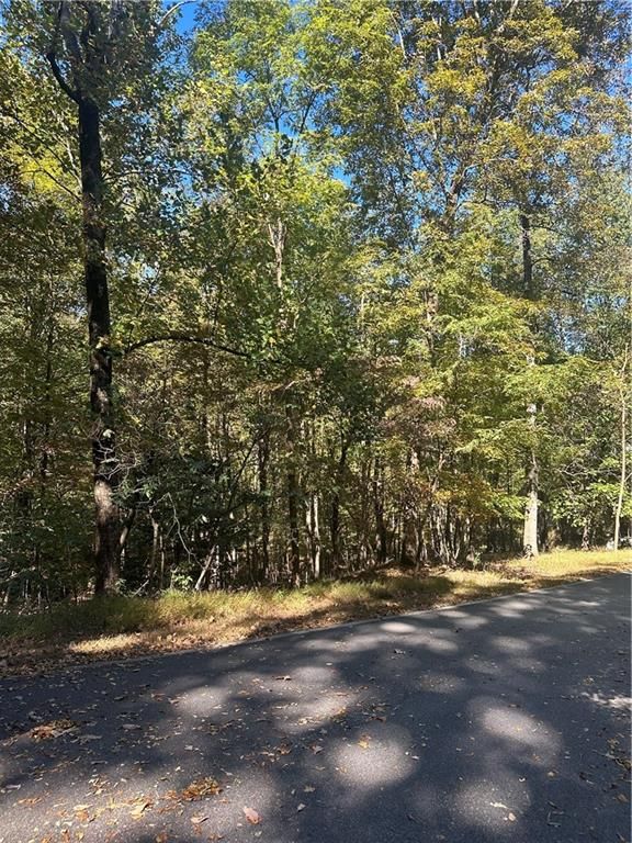 0 Blackgum Drive, Jasper, GA 30143
