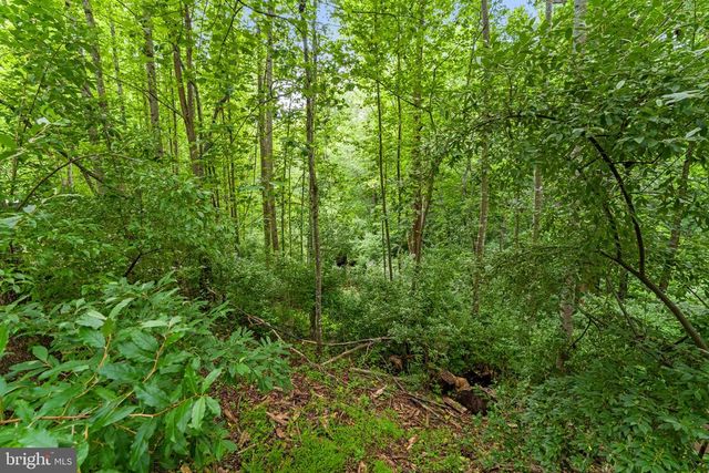 15160 QUAIL RIDGE DR, Amissville, VA 20106