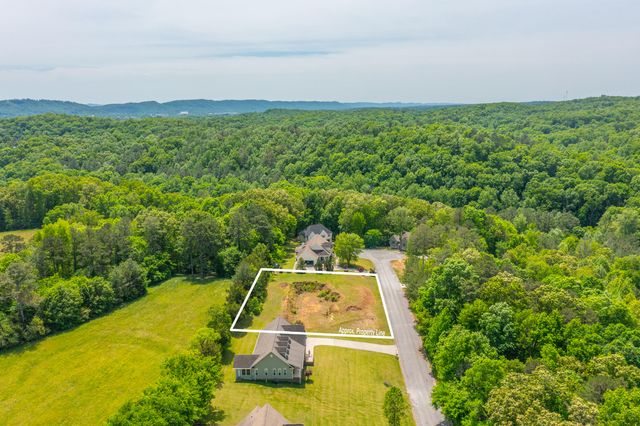 263 Falcons View Drive, Ringgold, GA 30736