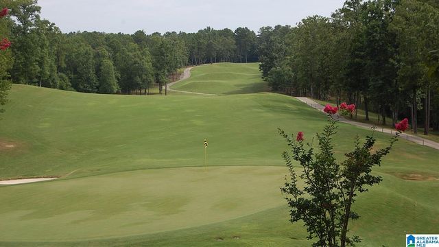 1135 TIMBERLINE RIDGE, Calera, AL 35040